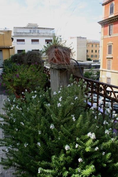 Eleven Apartment Rome Exterior photo